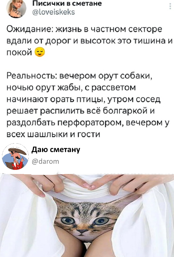 Картинки и мемы для настроения - 187