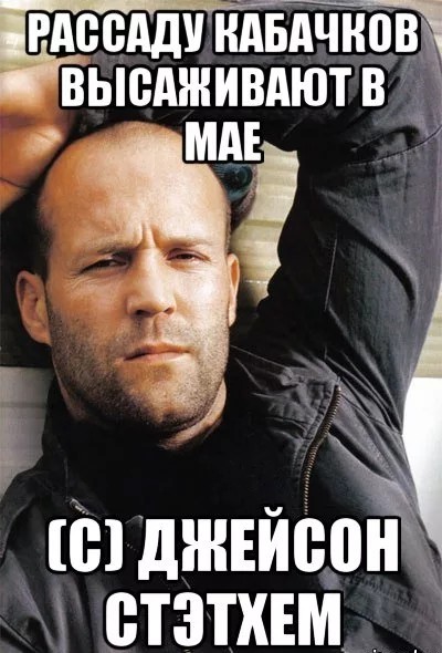 Под всеми последними постами Джейсона Стейтхема найден русский след?