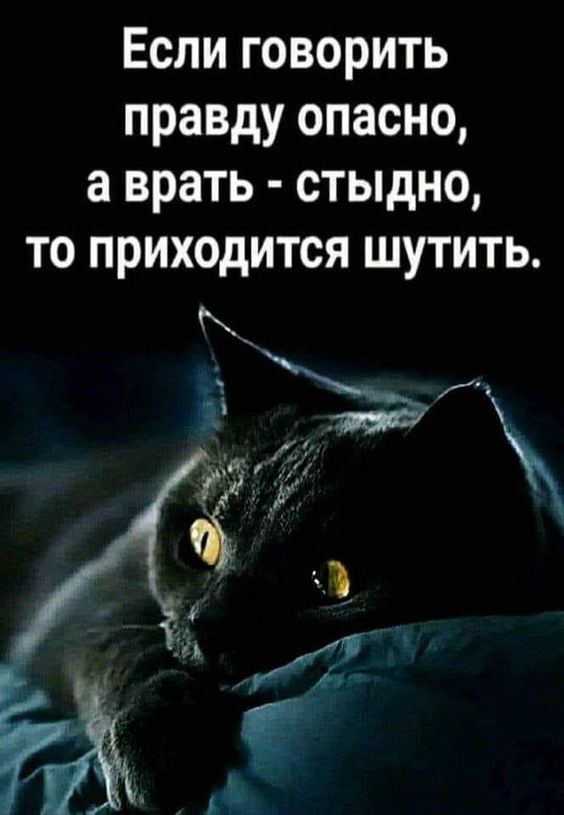 Прикольные и просто красивые картинки 27.06.2023
