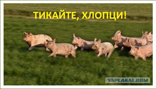 "Работино — идеальное место для применения тактического ядерного оружия", — заявил депутат Госдумы РФ Андрей Гурулев