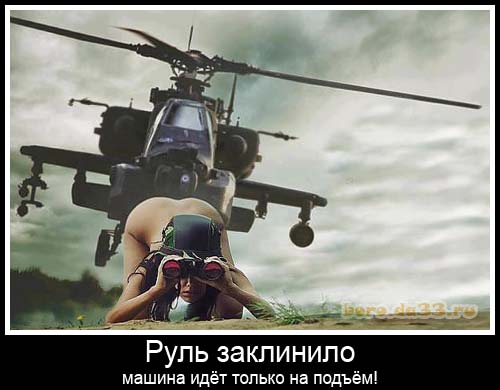 Чёрная акула
