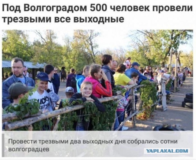 Для тех, кто так же ненавидит будни, как и я