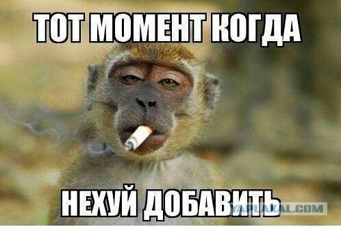 Завидуем?