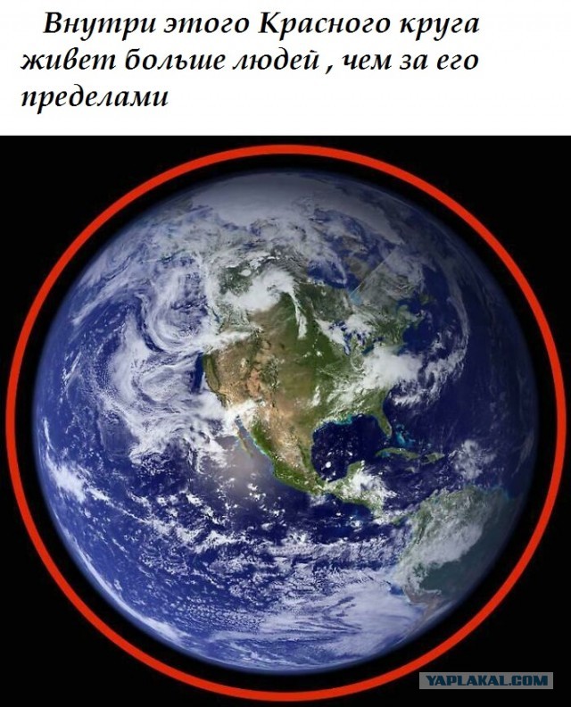 Весёлый полтшок 09.05.24