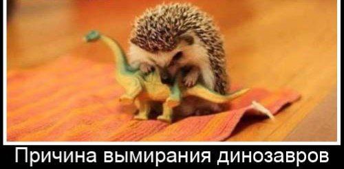 Никакие картинки