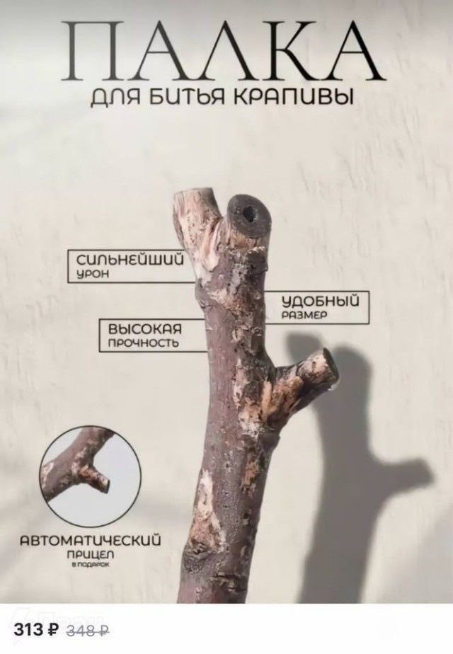 Немного забавных картинок от 2.10.2024