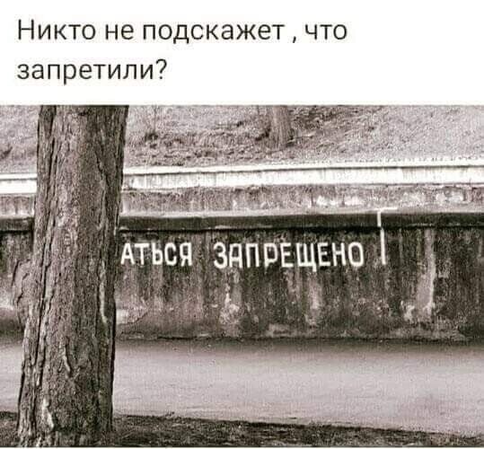 Так себе картинки 25.10.24