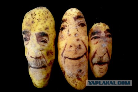 Картофель с человеческим лицом