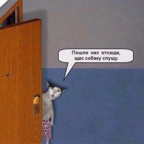 А вы хто тут?