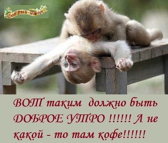 Прикольные и просто красивые картинки