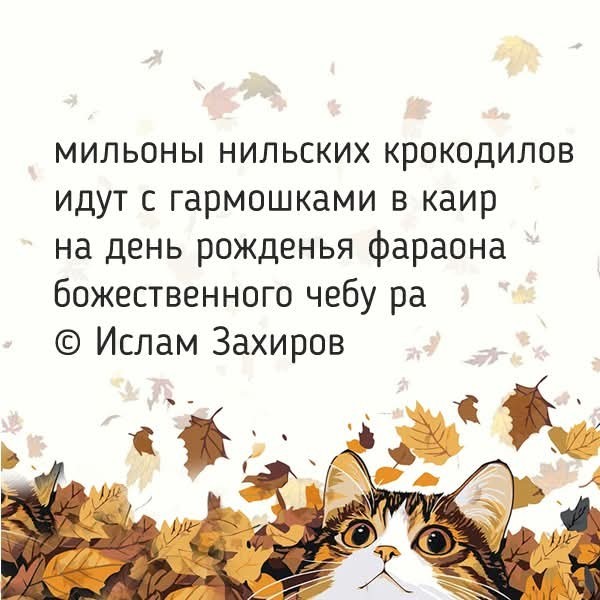 Маленькая пятница 26.11