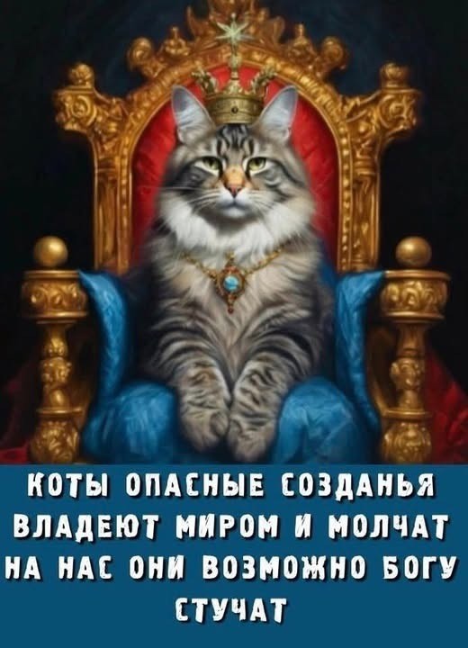 Прикольные и просто красивые картинки 28.11.2025