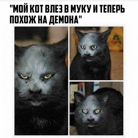 Так себе картинки 04.12.25