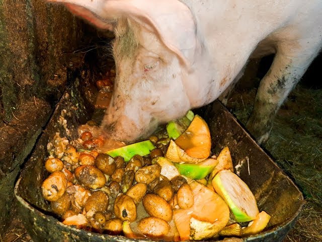 Зарубежная кухня всегда удивляет