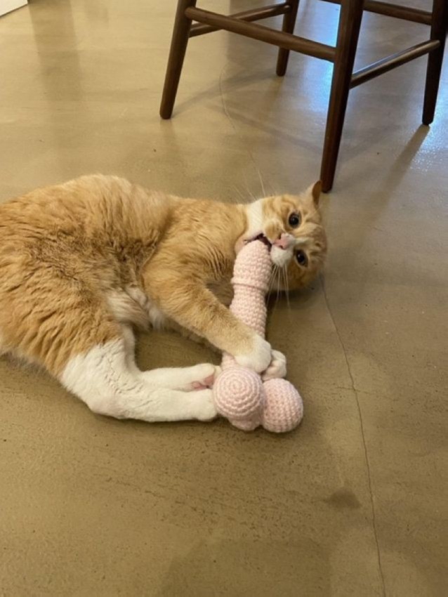 Картинки на  среду 25.02.2026