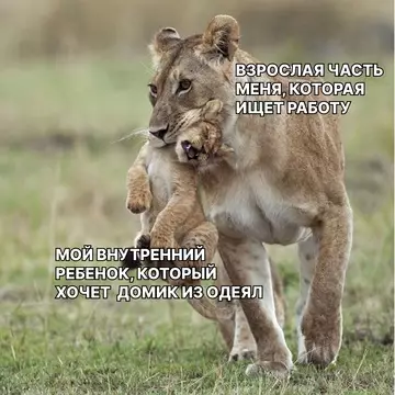 Картиночки, баянчики 13 марта