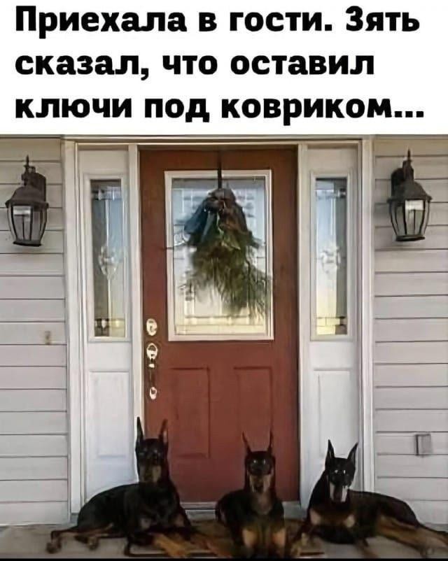 Картинки для деградации 220 (разной степени свежести)