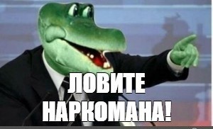 Нейродичи Вам в ленту