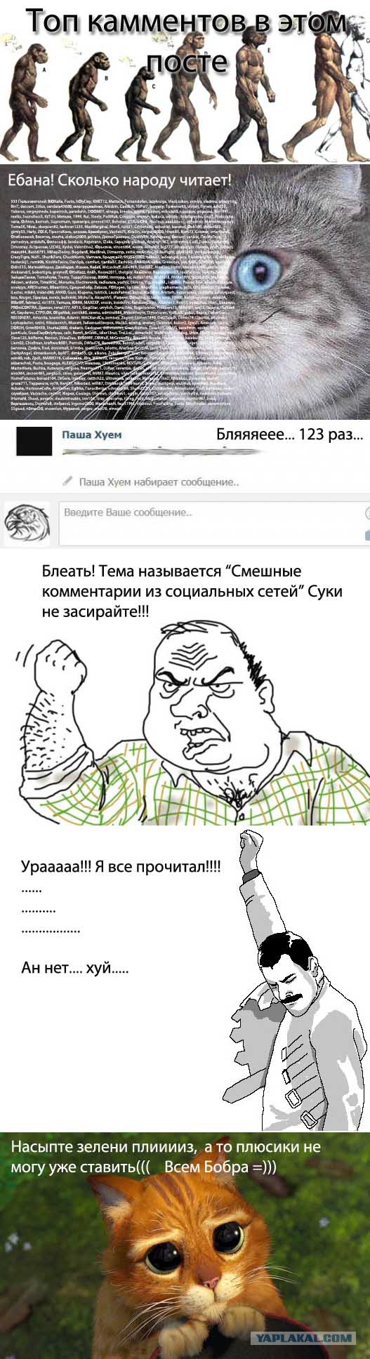 Смешные комментарии из социальных сетей