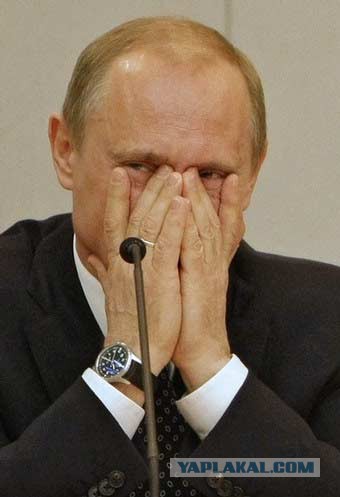 Оно не любит Путина