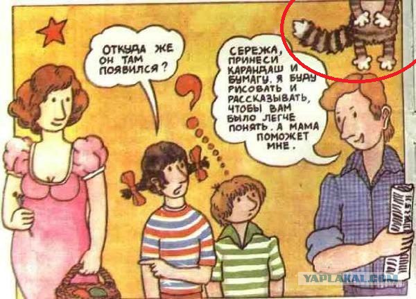 Мой муж - извращенец