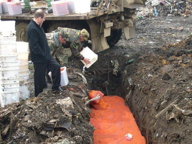 Как сгорает тонна красной икры