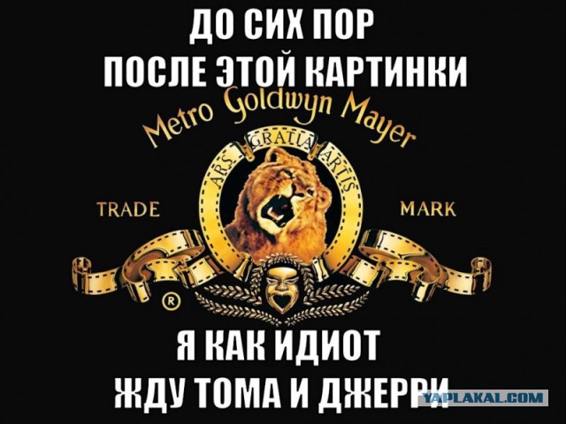 Позитивные картинки