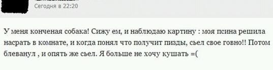 Комменты из соцсетей