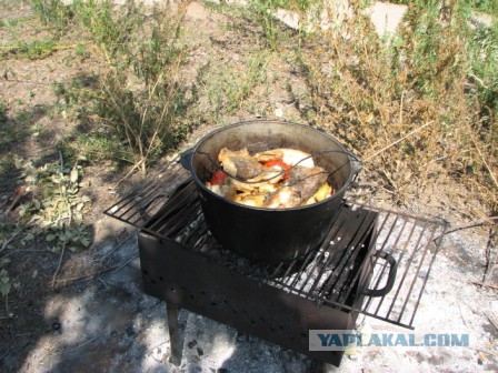 Немного рыбалки под Астраханью