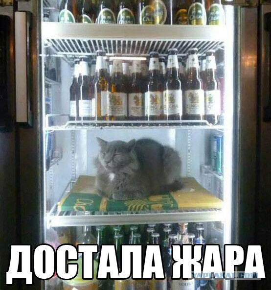 Прикольные картинки на понедельник .