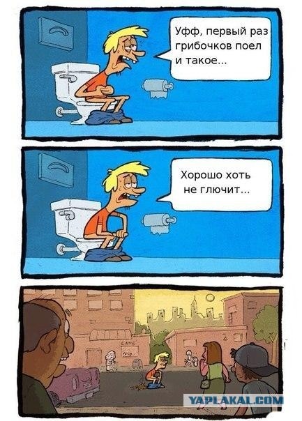 Добряки, плюсующие всех подряд