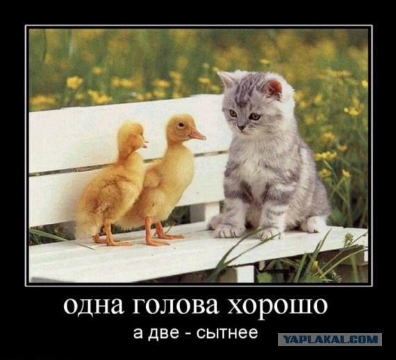 Чёрт, чёрт, чёрт!