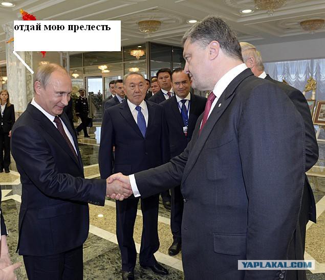 Кто кого боится видно сразу