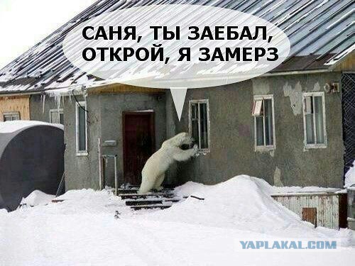 Просыпаюсь, и вижу ЭТО...