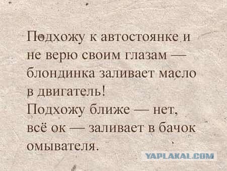Подборка веселых картинок