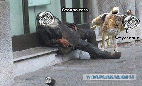 Иногда так хочется сказать правду..