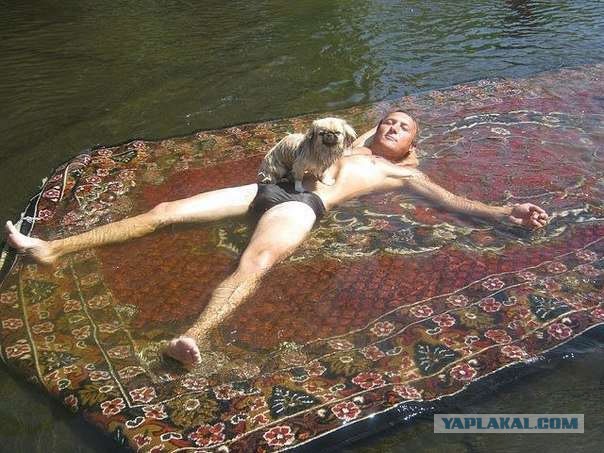 Ужасы и приколы из соцсетей