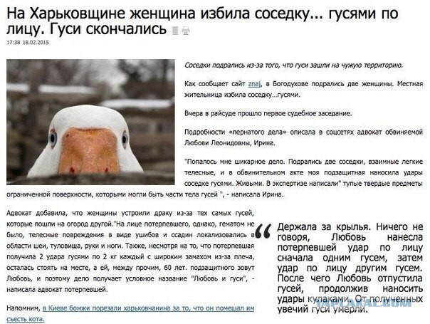 Очередная порция картинок из сети