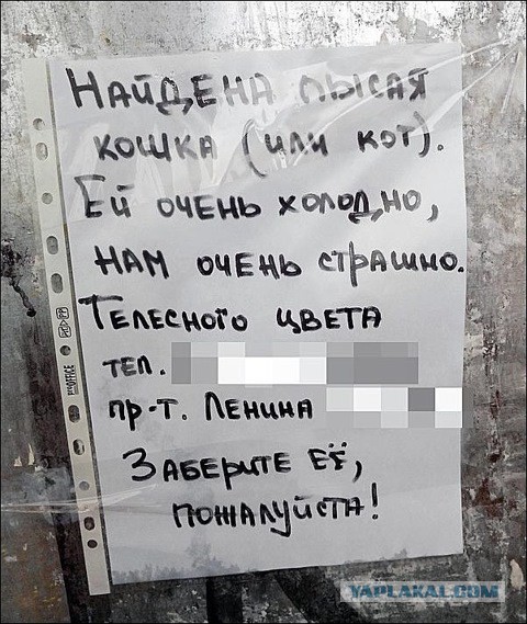 Приколы из соцсетей