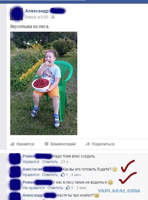 Смешные комментарии 26.07.2015