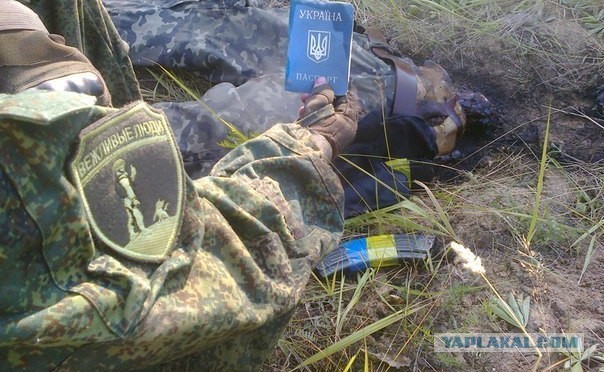 Зомбирование украинцев