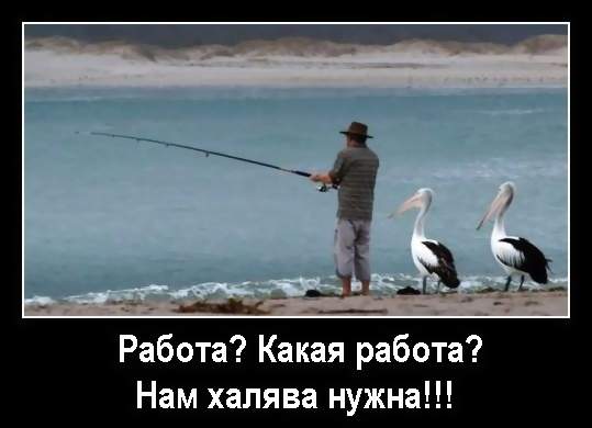 Есть ли жизнь (работа) после 40?