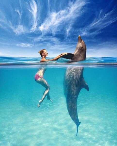 Разные картинки