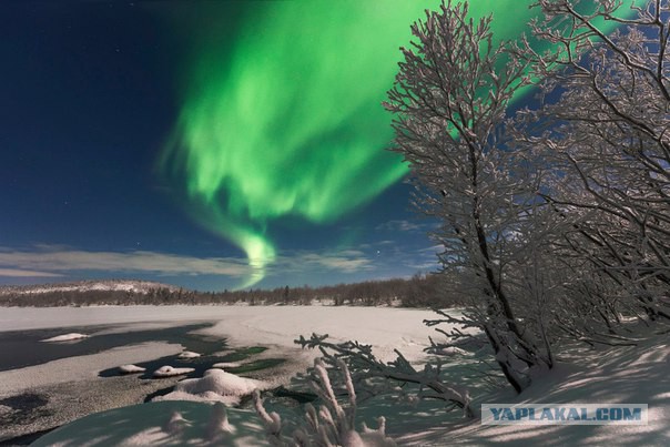 Полярная ночь в Мурманске