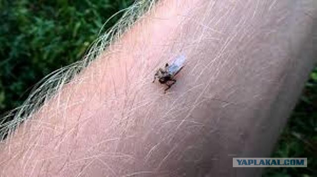 Посрался с женой из-за пустяка.