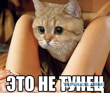 Просто 30 картинок из тырнета