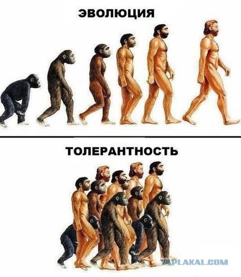 Юмор не для всех
