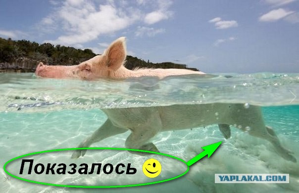 Девушки, которым скучно на работе