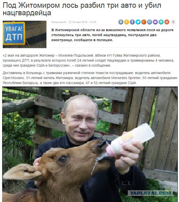 "Такого как Путин": неизвестные факты из жизни российского президента