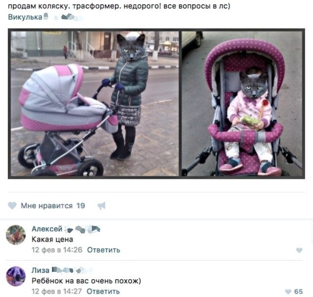 Ужасы и приколы из соцсетей 18+
